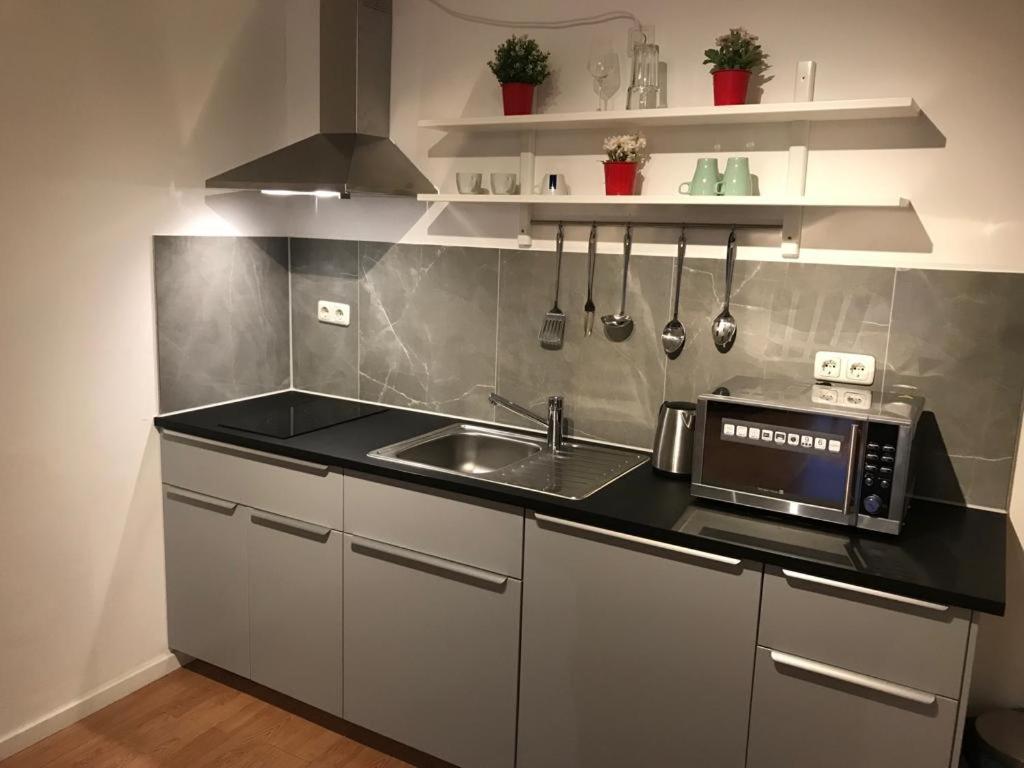 Maxim Apartments Майнц Экстерьер фото