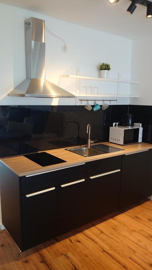 Maxim Apartments Майнц Экстерьер фото