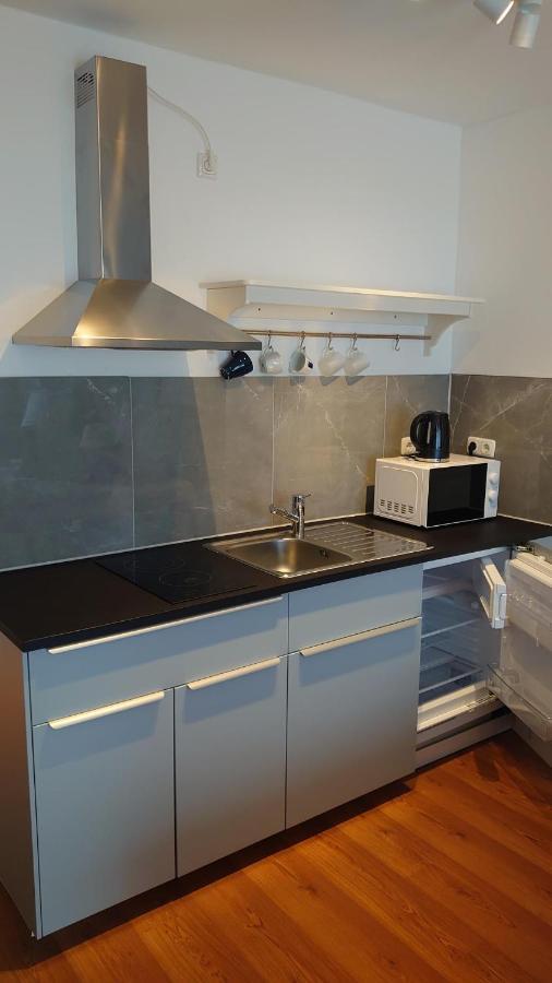 Maxim Apartments Майнц Экстерьер фото